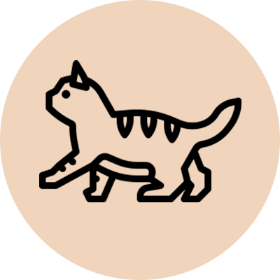 Pet Care Icon