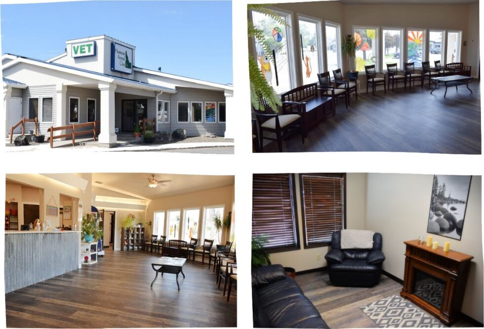 About Hometown Animal Clinic Vet in Boise, ID 83706