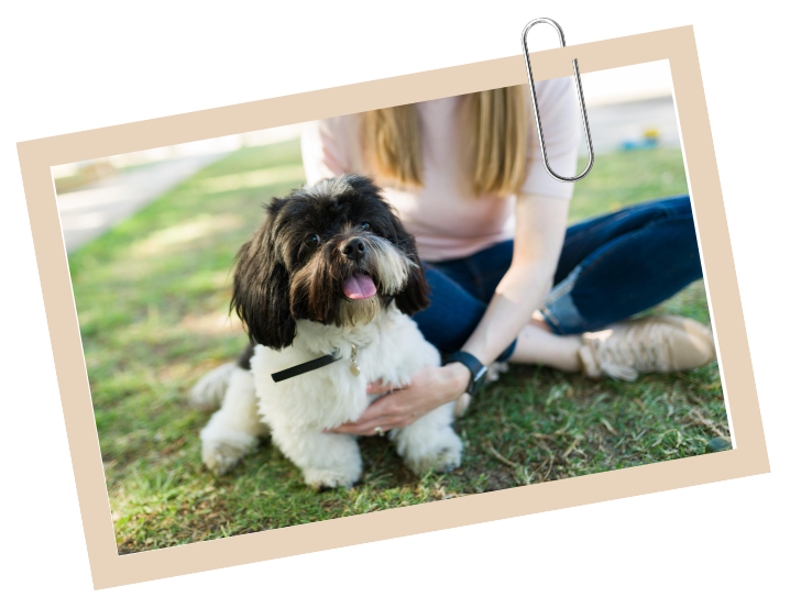 Best Veterinary Hospital in Boise, ID 83706 Hometown Animal Clinic