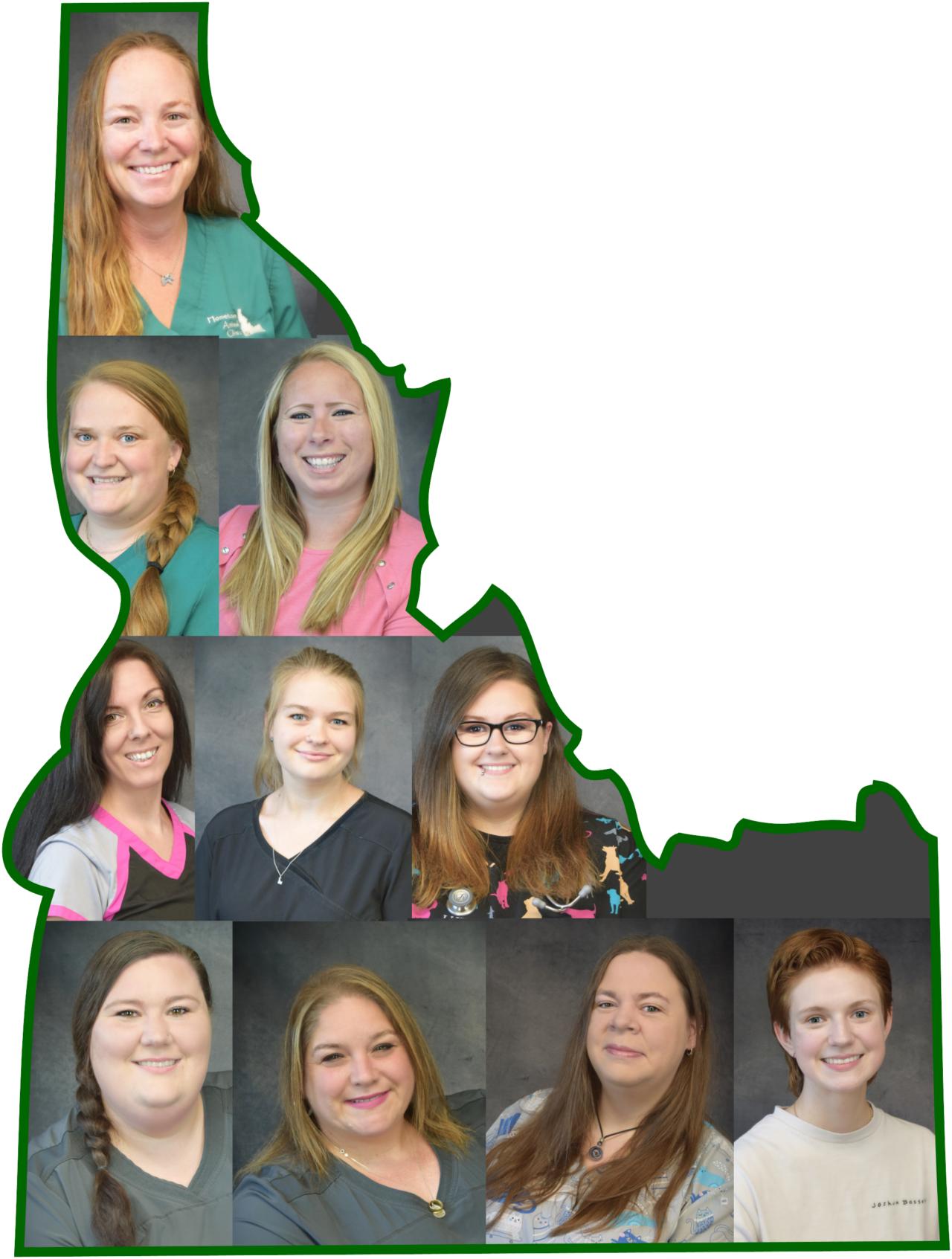 Veterinarian in Boise, ID 83706 Hometown Animal Clinic